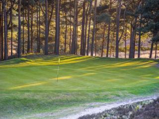 images/Courses/IoP/7-purbeck.jpg