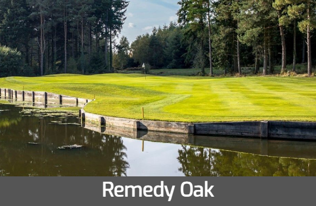 images/Hover/hover-remedy.jpg#joomlaImage://local-images/Hover/hover-remedy.jpg?width=650&height=424